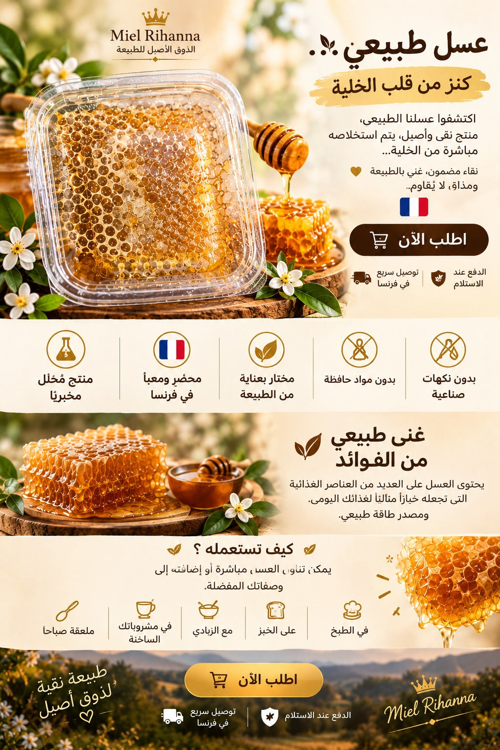 🍯 Miel en rayon naturel — L’authenticité de la ruche